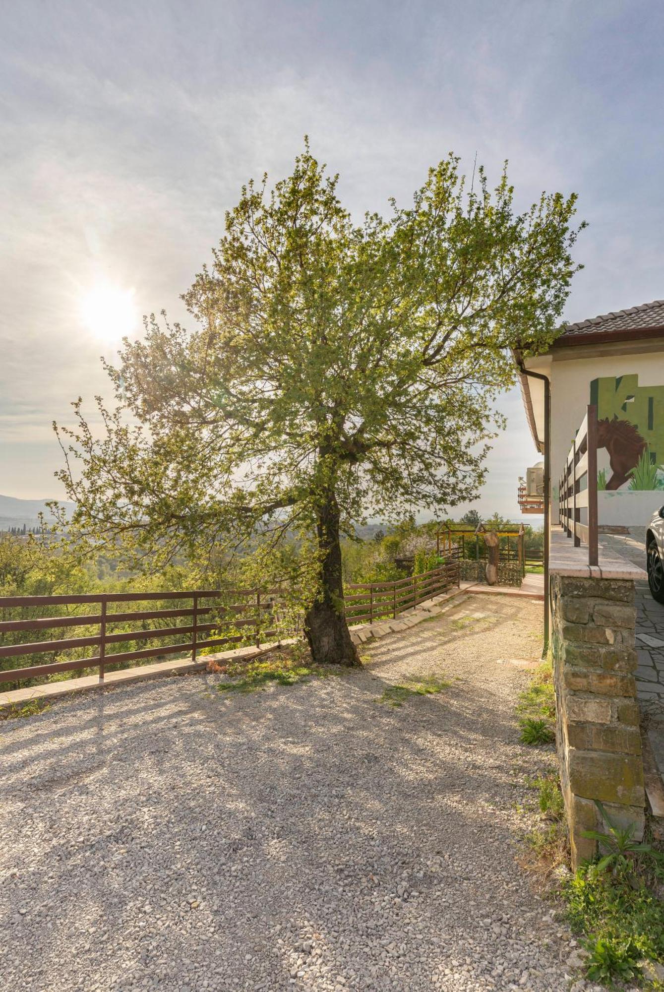 Apartments Souranded By Forest With Sea View Koper Zewnętrze zdjęcie